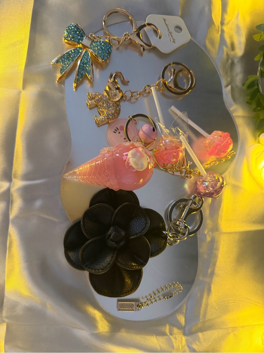 Coach , Hello Kitty, black flower, Elephant and Ribbon bag charms & keychains